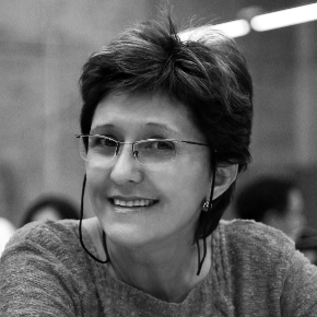 Ermínia Terezinha Menon Maricato